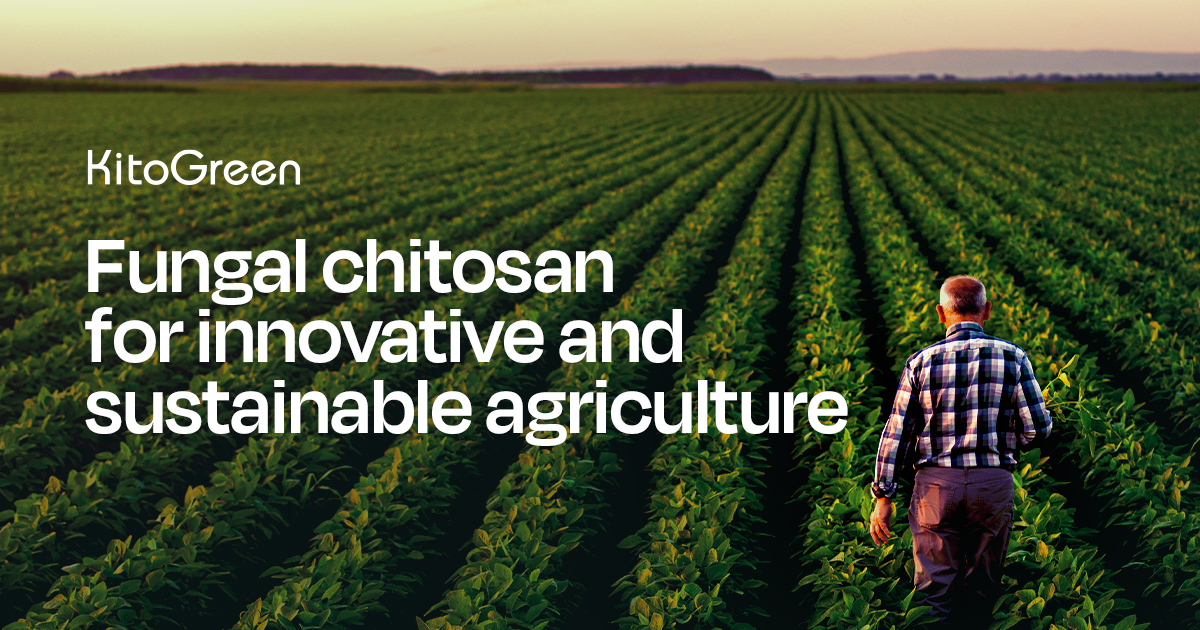 Fungal chitosan for innovative and sustainable agriculture | KitoGreen Fungal chitosan for innovative and sustainable agriculture | KitoGreen